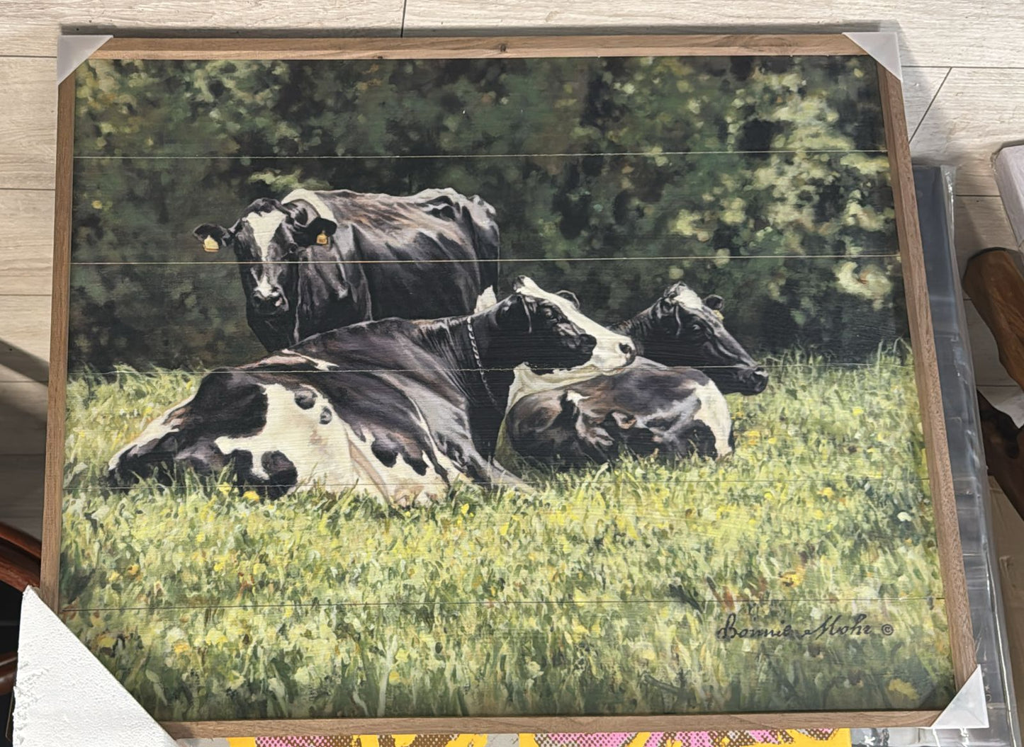 The Beautiful Cow By Bonnie Mohr