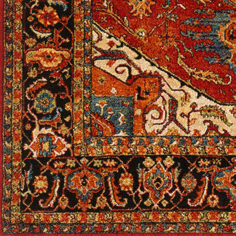 Close-up of a patterned rug with intricate designs in red, blue, and beige.