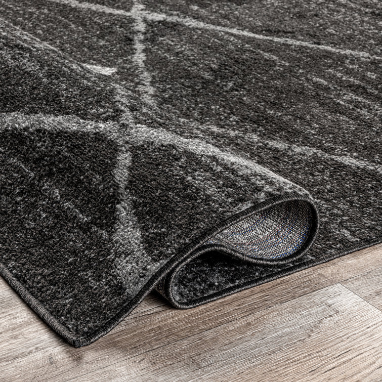 Amiia Contemporary Abstract Accent Rug for Living Room Bedroom Dining Room Entryway Kitchen, Charcoal/Grey 4x6