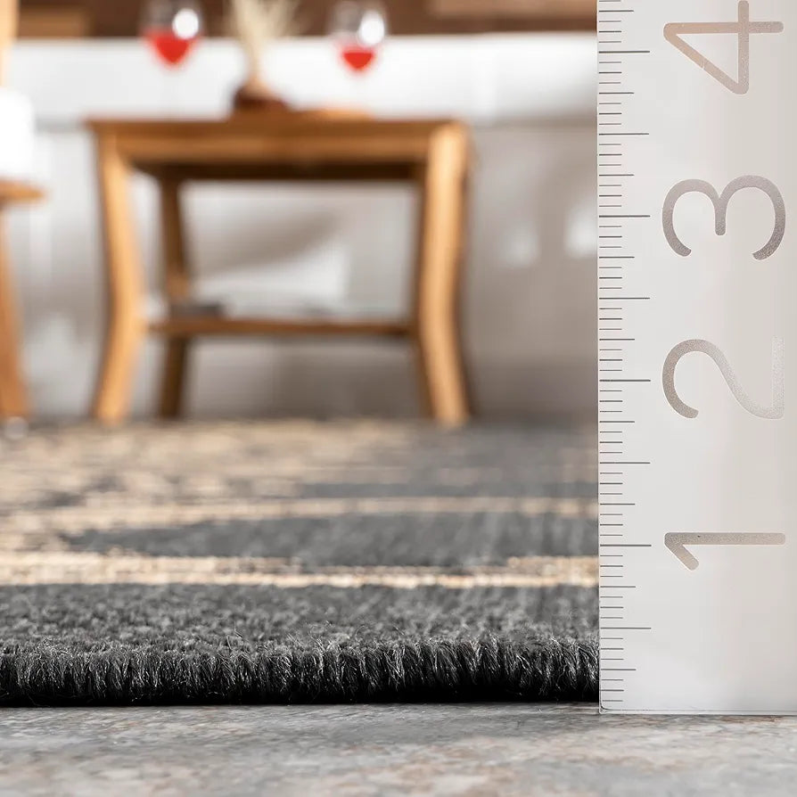 nuLOOM Ranya Tribal Indoor/Outdoor Area Rug for Living Room Patio Deck Front Porch Kitchen, Dark Grey/Ivory 8x10
