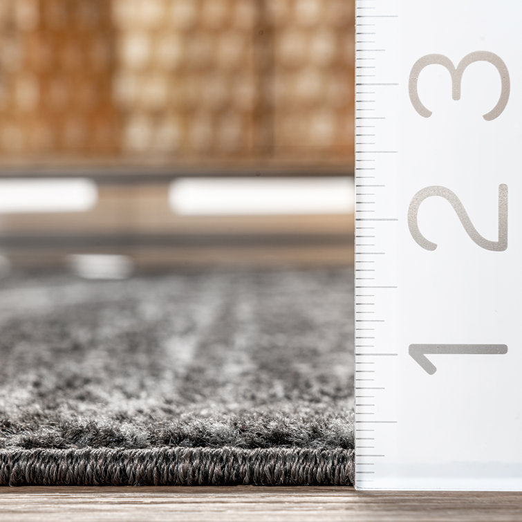 Amiia Contemporary Abstract Accent Rug for Living Room Bedroom Dining Room Entryway Kitchen, Charcoal/Grey 4x6