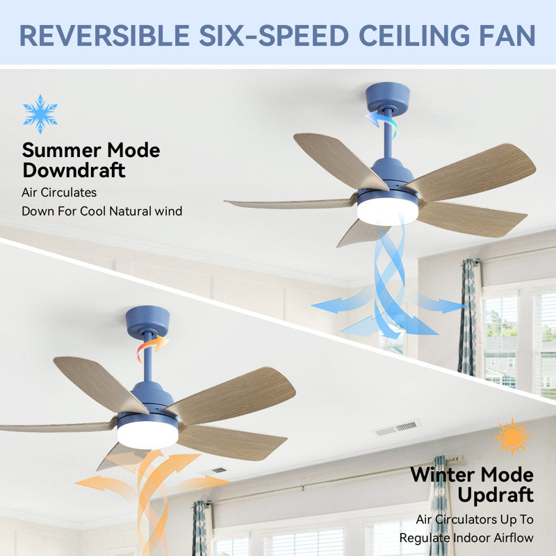 Rita 42" 5-Blade Modern Dark BlueThree-Color Dimmable Ceiling Fan Light with Remote Control