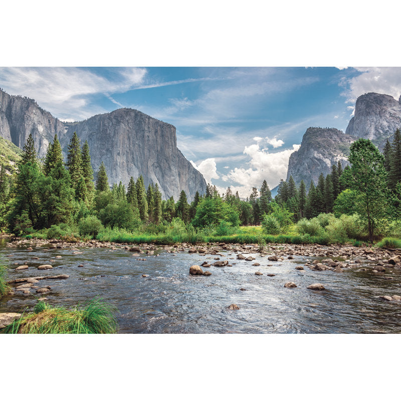 Casswell Yosemite National Park, California 8' L x 144" W  Wall Mural