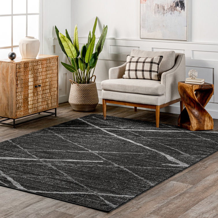Amiia Contemporary Abstract Accent Rug for Living Room Bedroom Dining Room Entryway Kitchen, Charcoal/Grey 4x6
